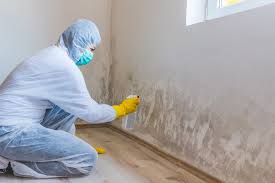 Trusted Grove City, PA Mold Inspection Experts