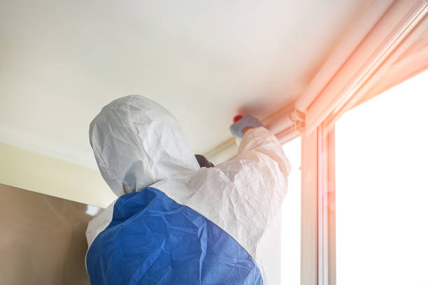 Why You Should Choose Our Mold Remediation Services in Grove City, PA